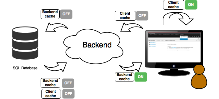 Data set caching