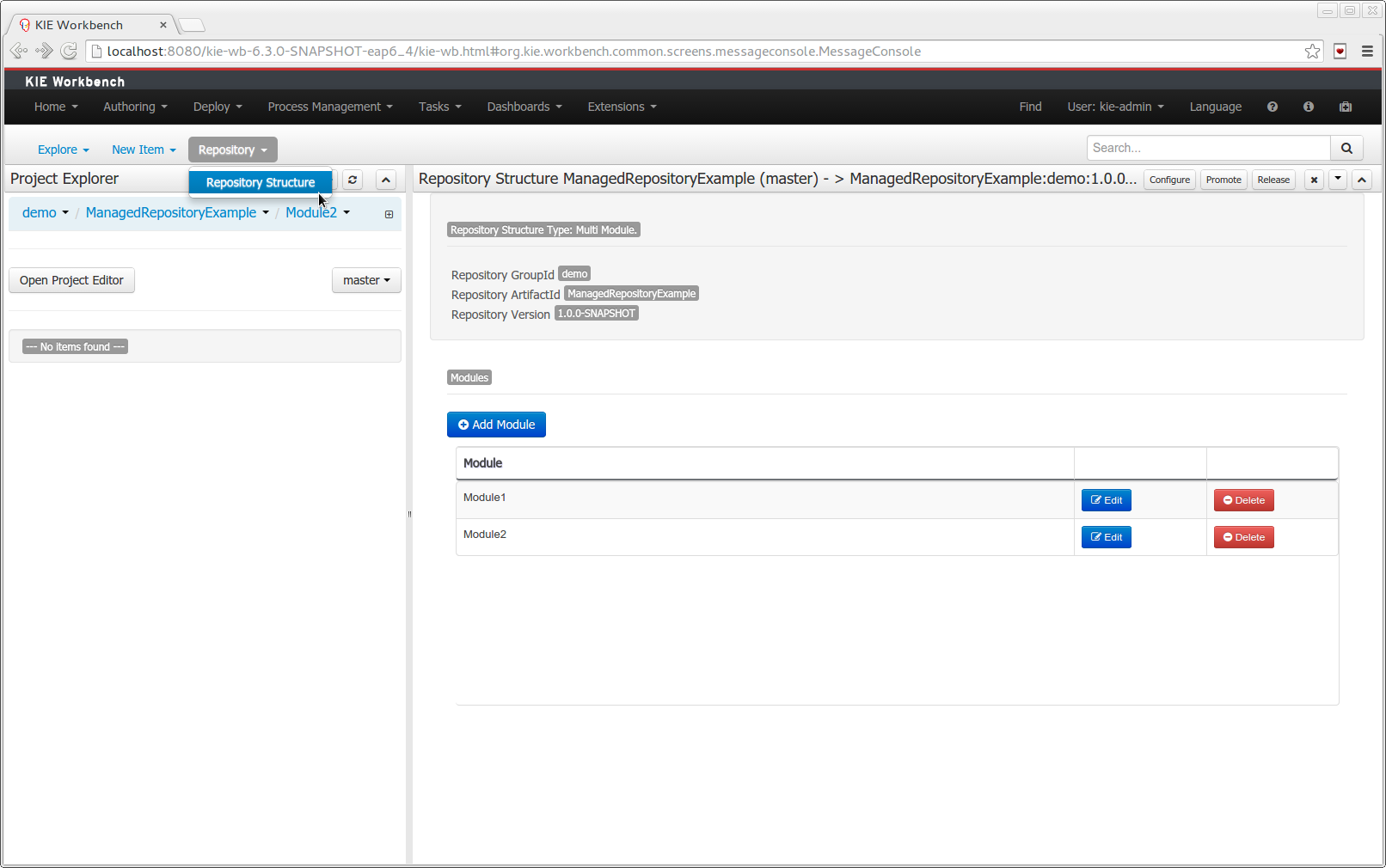 Repository Structure Screen for a Managed Repository